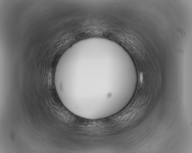 X0000111481203200907141036
