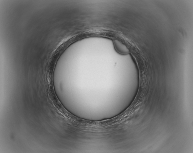 X0000111481206200907141036