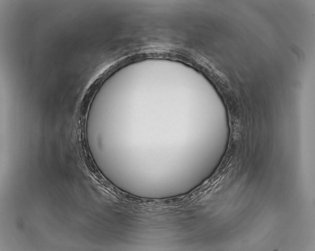 X0000111481208200907141036