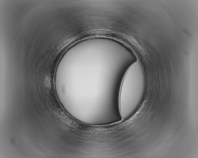 X0000111481209200907141036