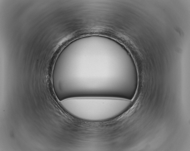 X0000111481210200907141036