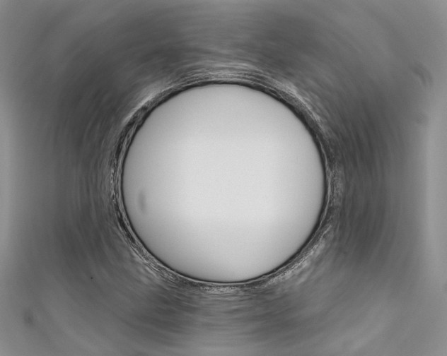 X0000111481211200907141036