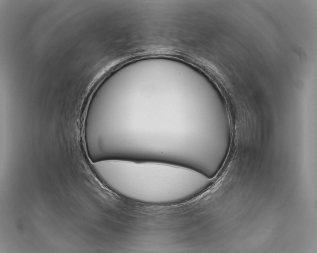 X0000111481212200907141036