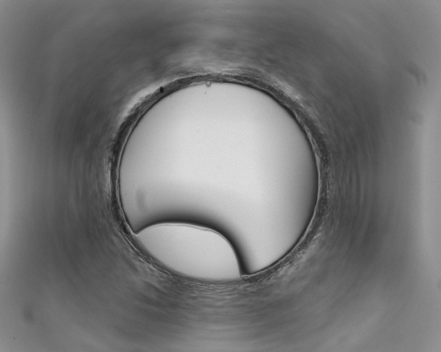 X0000111481214200907141036
