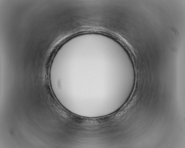 X0000111481215200907141036