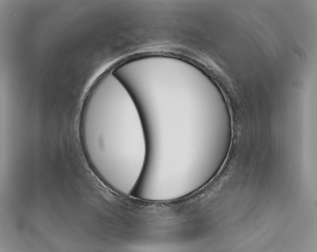 X0000111481216200907141036