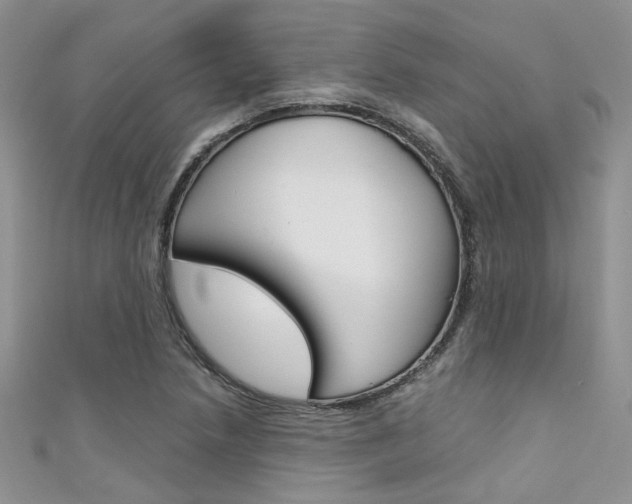 X0000111481218200907141036