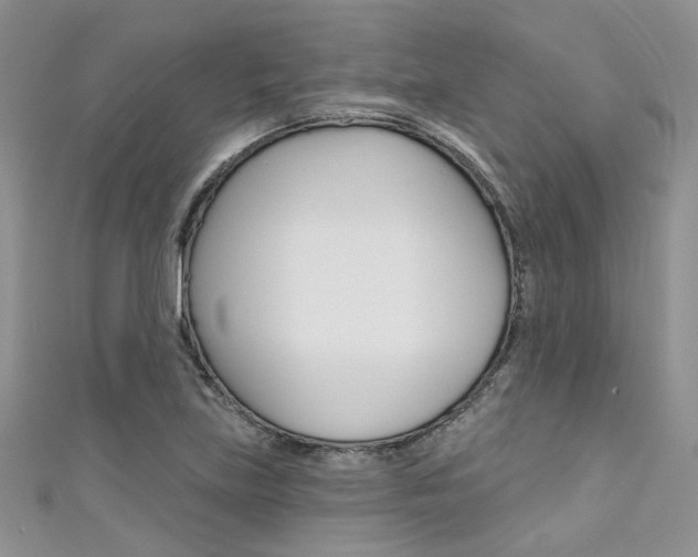 X0000111481219200907141036