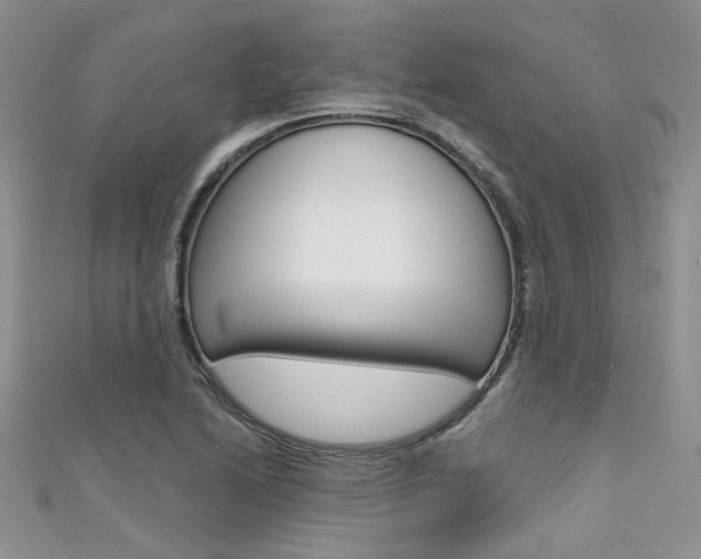 X0000111481222200907141036