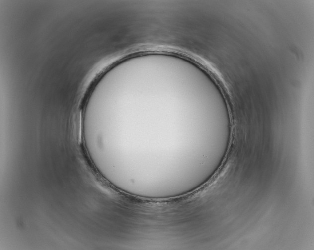 X0000111481223200907141036