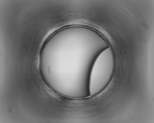 X0000111481224200907141036