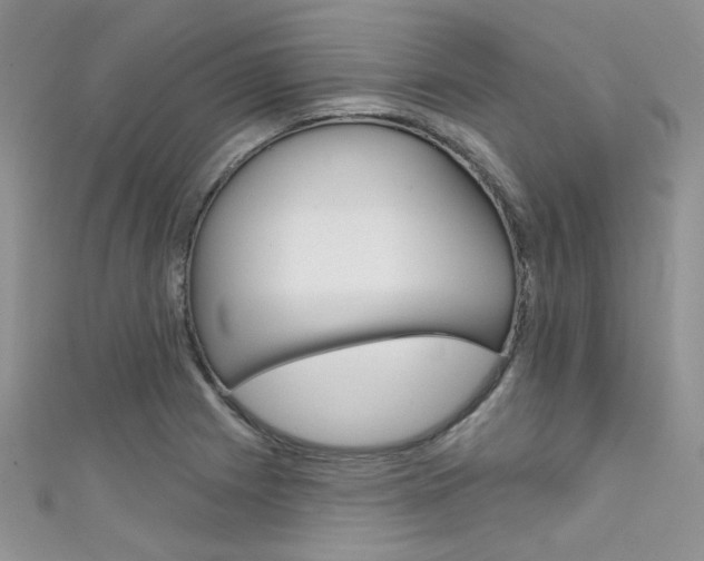 X0000111481225200907141036