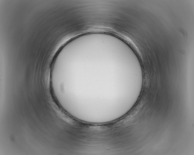 X0000111481227200907141036