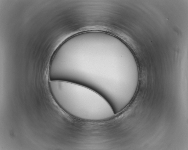 X0000111481228200907141036