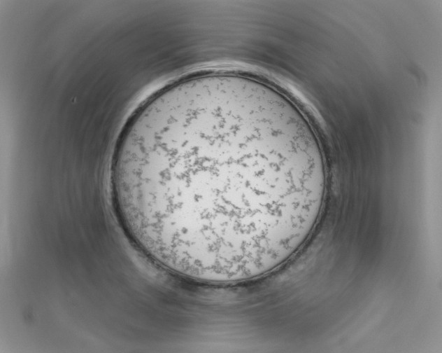 X0000111481229200907141036