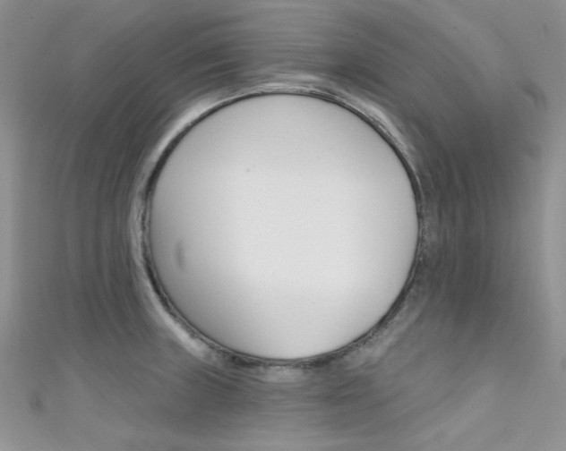 X0000111481235200907141036