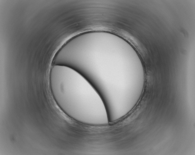 X0000111481236200907141036