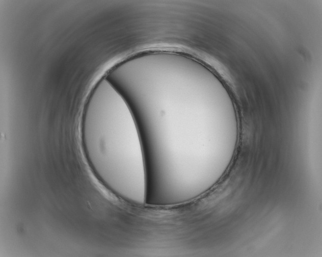 X0000111481237200907141036