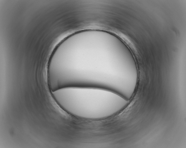 X0000111481238200907141036
