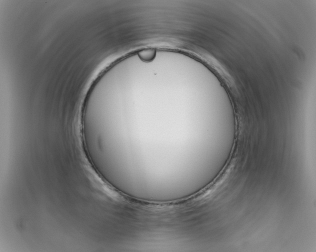 X0000111481240200907141036