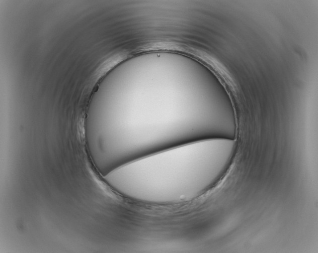 X0000111481241200907141036