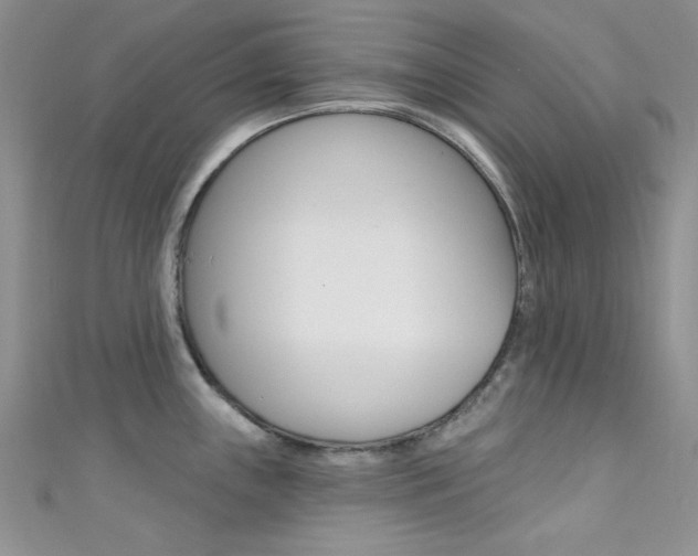 X0000111481243200907141036