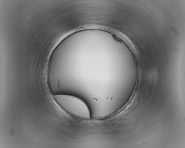 X0000111481244200907141036