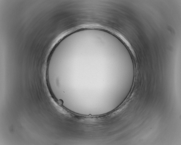 X0000111481245200907141036