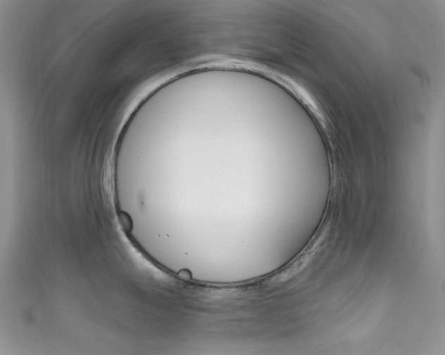 X0000111481247200907141036