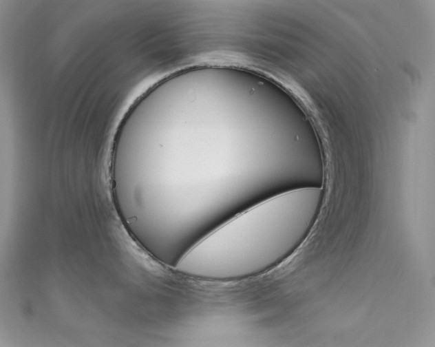 X0000111481248200907141036