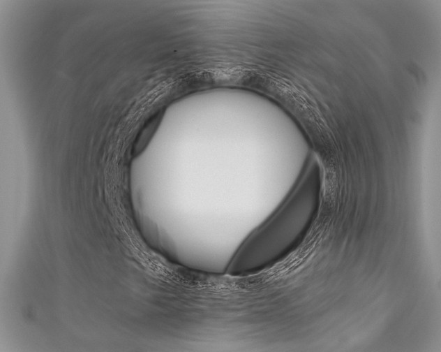 X0000111481249200907141036