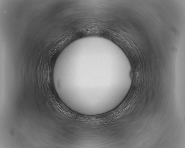 X0000111481250200907141036