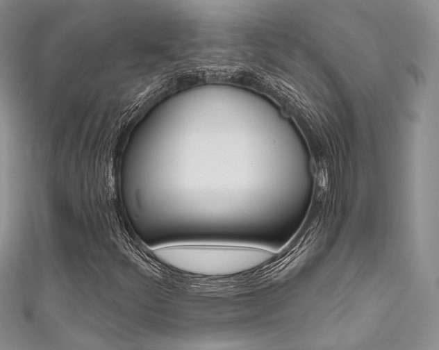 X0000111481252200907141036
