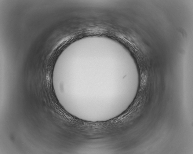 X0000111481254200907141035