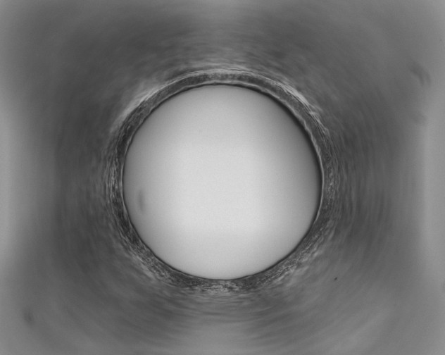 X0000111481255200907141035