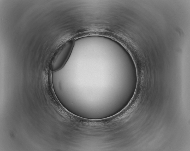 X0000111481257200907141035