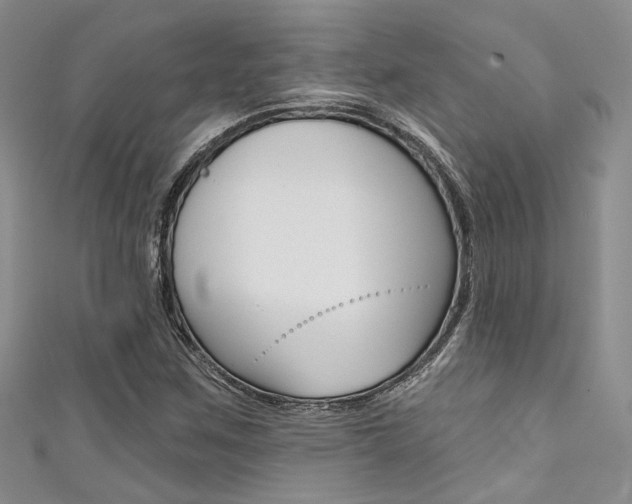 X0000111481259200907141035