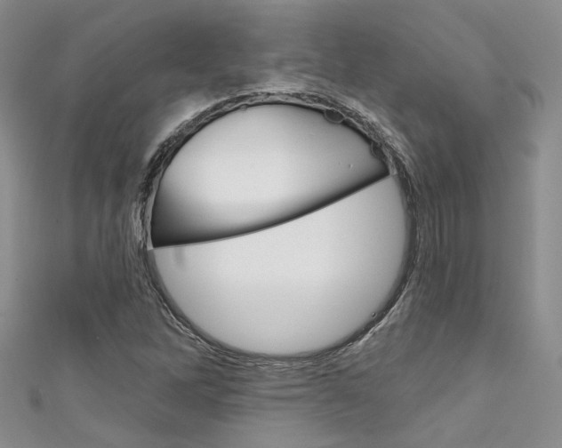 X0000111481262200907141035