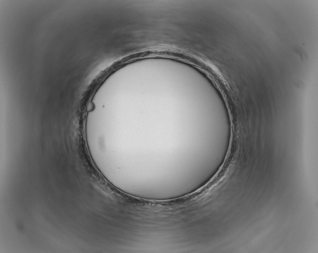 X0000111481263200907141035