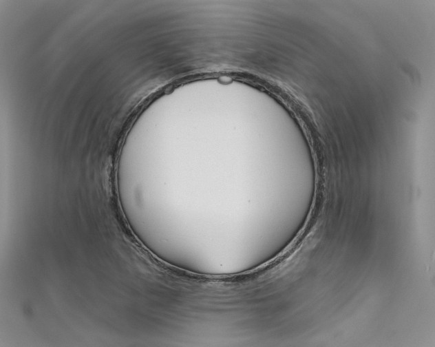X0000111481265200907141035