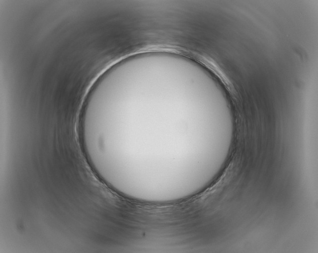 X0000111481268200907141035