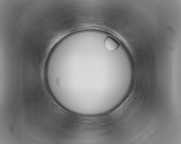 X0000111481269200907141035