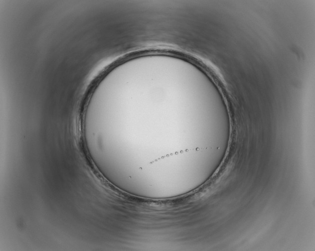 X0000111481271200907141035