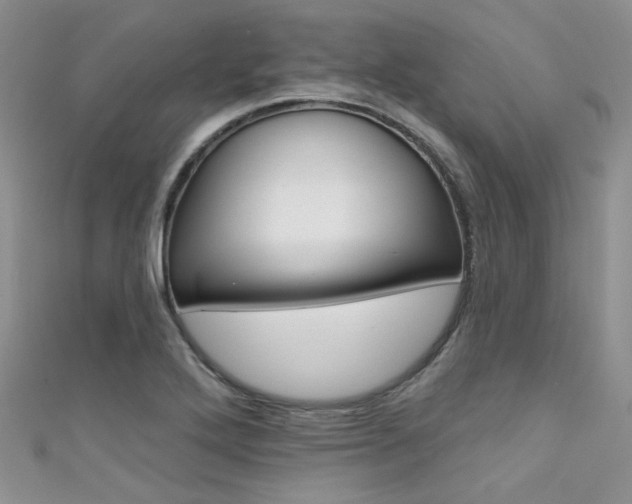 X0000111481272200907141035
