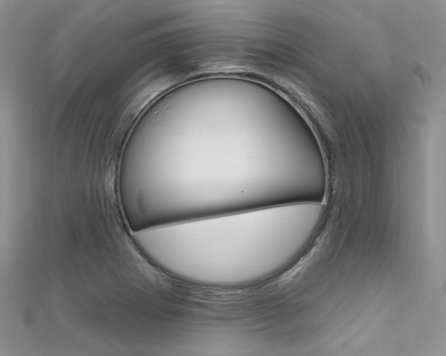 X0000111481273200907141035