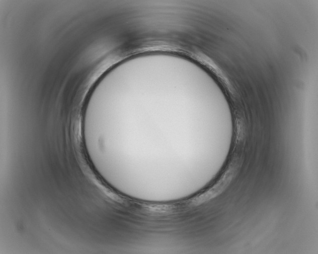 X0000111481274200907141035
