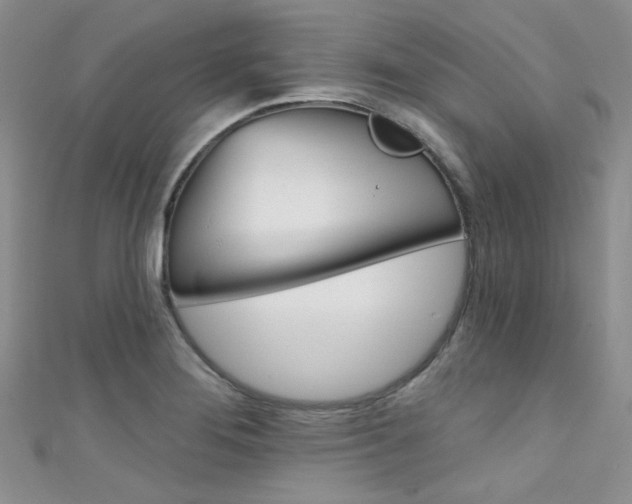 X0000111481276200907141035