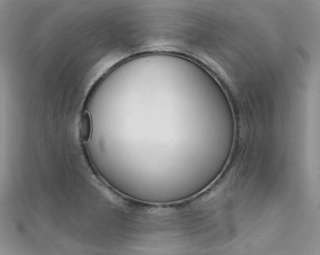 X0000111481277200907141035
