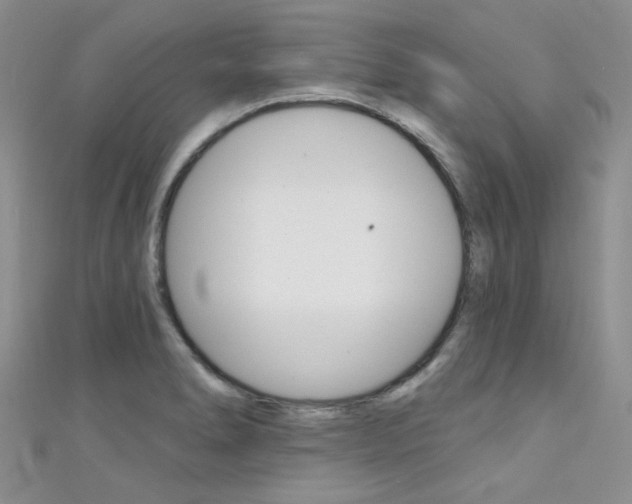 X0000111481278200907141035
