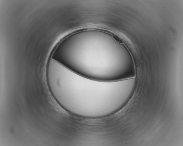X0000111481280200907141035